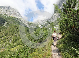 Woman walks in a trail while hiking in the mountains between the Alps and the mountain pines