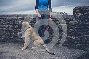 Woman by wall with Leonberger puppy