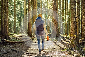 A woman in warm clothes enjoys a walk in a pine forest