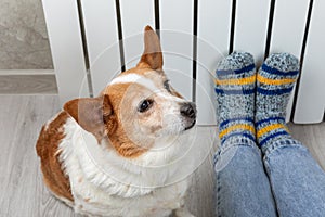 A woman in warm knitted woolen socks and cute corgi dog near a home heater in the cold autumn-winter season.