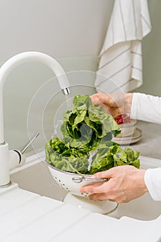 Woman wash green salad leaves with water at modern kitchen