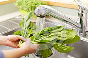 Woman wash the vegetables