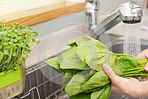 Woman wash the vegetables