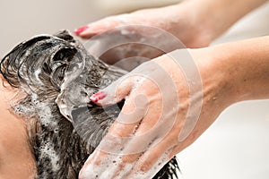 Woman washing client hair in hairdresser salon. Foam on hands and head.
