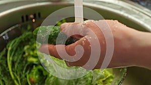 Woman washing cucumbers in kitchen sink close up.