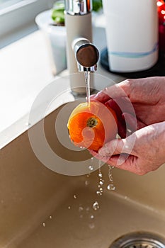 Woman washing fresh ripe tomatoes under tap water in kitchen