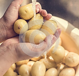 Woman washing potatoes under running water food photography recipe idea