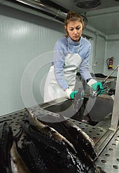 Woman washing sturgeon before packaging