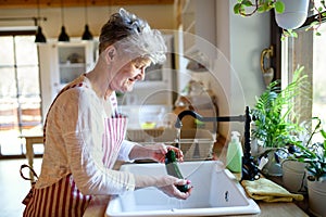 Woman washing vegetables indoors at home when cooking, corona virus concept.