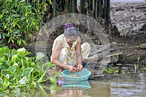 Woman washing vegetables in Mekong river