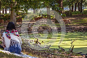 A woman watching red deers