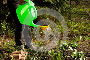 Woman with watering can pouring the ground in garden