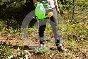 Woman with watering can pouring the ground in garden