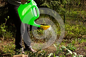 Woman with watering can pouring the ground in garden