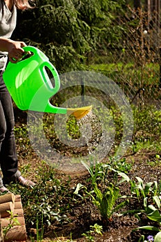 Woman with watering can pouring the ground in garden