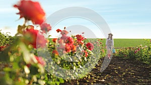 Woman with watering can walking near rose bushes. Gardening tool