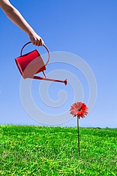 Woman watering flower