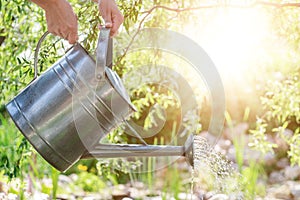 Woman watering flower bed using watering can. Gardening hobby concept. Flower garden.