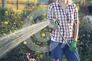 woman watering flowers from a hose with a sprayer in the garden on a sunny summer day.