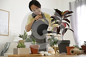 Woman watering houseplant at home. Engaging hobby