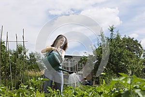 Woman Watering Plants In Allotment