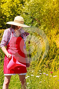 Woman watering plants in garden