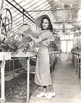 Woman watering plants in hothouse