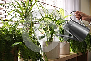 Woman watering plants near window at home