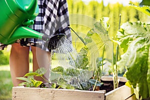 Woman waters the plants