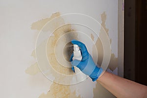Woman wearing blue gloves wets the old wallpaper on the wall for