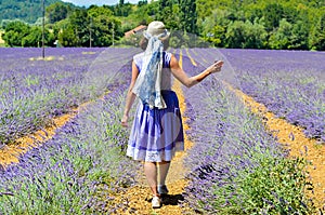 A woman wearing a hat and beautiful lavender dress walking on the path in the lavender fields. Provence, France