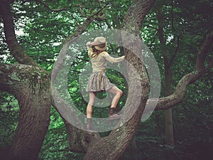 Woman wearing safari hat climbing tree