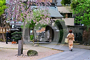 Gate of Kushida Shrine, Fukuoka city, Japan.