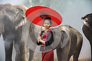 Woman wearing traditional Thai clothes standing with a big elephant. Surin, Thailand
