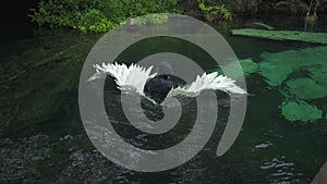 woman in wetsuit cannot submerge an angel wing suit