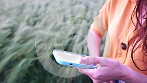 Woman wheat field. Agronomist check unripe barley spikes in cultivated field, takes notes to smartphone. Closeup of