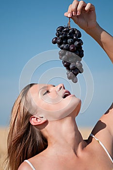 Woman in wheat field eating grapes. Summer picnic.