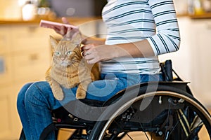 Woman in wheelchair with cat on her lap