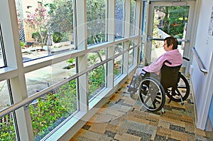 Woman in a Wheelchair Gazing Outside