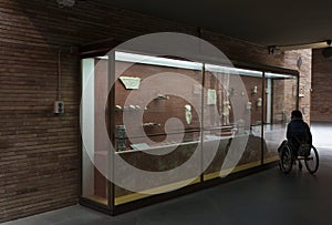 Woman in a wheelchair iobserves glass cabinet