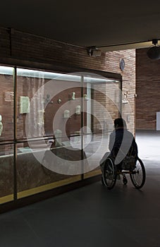 Woman in a wheelchair iobserves glass cabinet