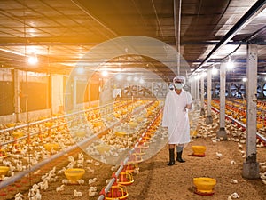 The woman with white cloth in the chicken farming business