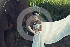 Woman white dress with elephant on wild