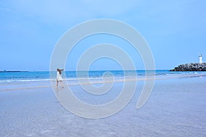 Woman in white dress with her long hair blowing in the wind, walking in a beach with white lighthouse on rocky platform in Jeju Is