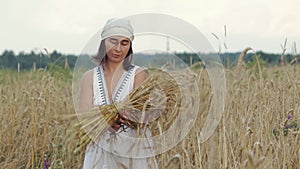 Woman in a white dress and kerchief knits a sheaf of wheat ears when harvesting grain crops