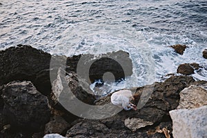 Woman in white dress with stroller stones ocean shore top view