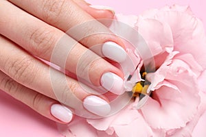 Woman with white nail polish touching eustoma flower, closeup