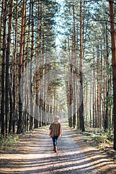 Woman in wide-brimmed felt hat and authentic poncho standing on a dirt road in foggy pine tree forest. Vertical orientation