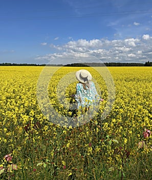 Woman on wild field blossom yellow flowers and bright sky with white clouds summer nature landscape, green field in countryside