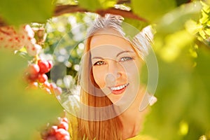 Woman winegrower picking grapes